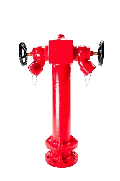 TPFH2 Two Way Pillar Fire Hydrant Equipment Wet Barrel Fire Protection Hydrant for Industrial and Municipal Fire Safety — view 2